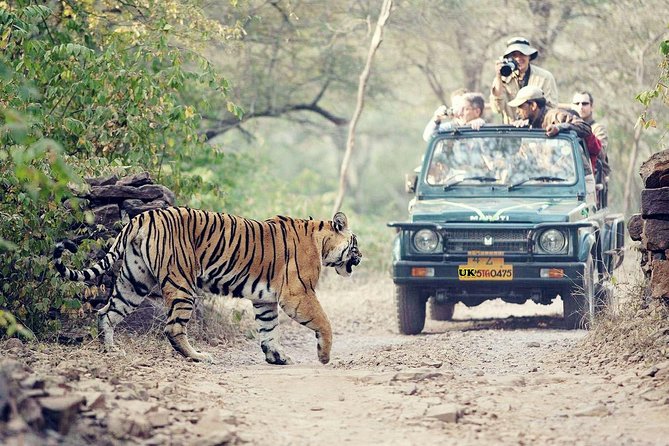 Chilawali Safari